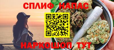 гидропоника Будённовск