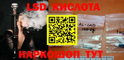 гидропоника Будённовск