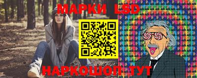 гидропоника Будённовск
