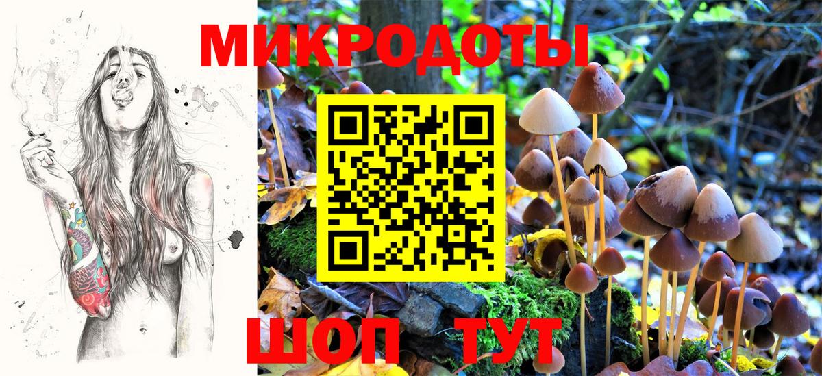 Псилоцибиновые грибы Psilocybine cubensis  Вход с VPN  Псилоцибиновые грибы Psilocybine cubensis  Михайловка 