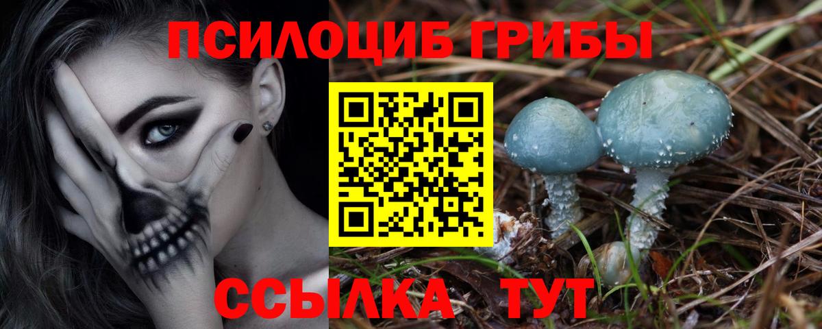 Псилоцибиновые грибы мухоморы Михайловка